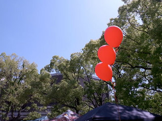 20110119.jpg